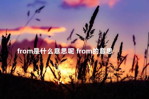 from是什么意思呢 from的意思